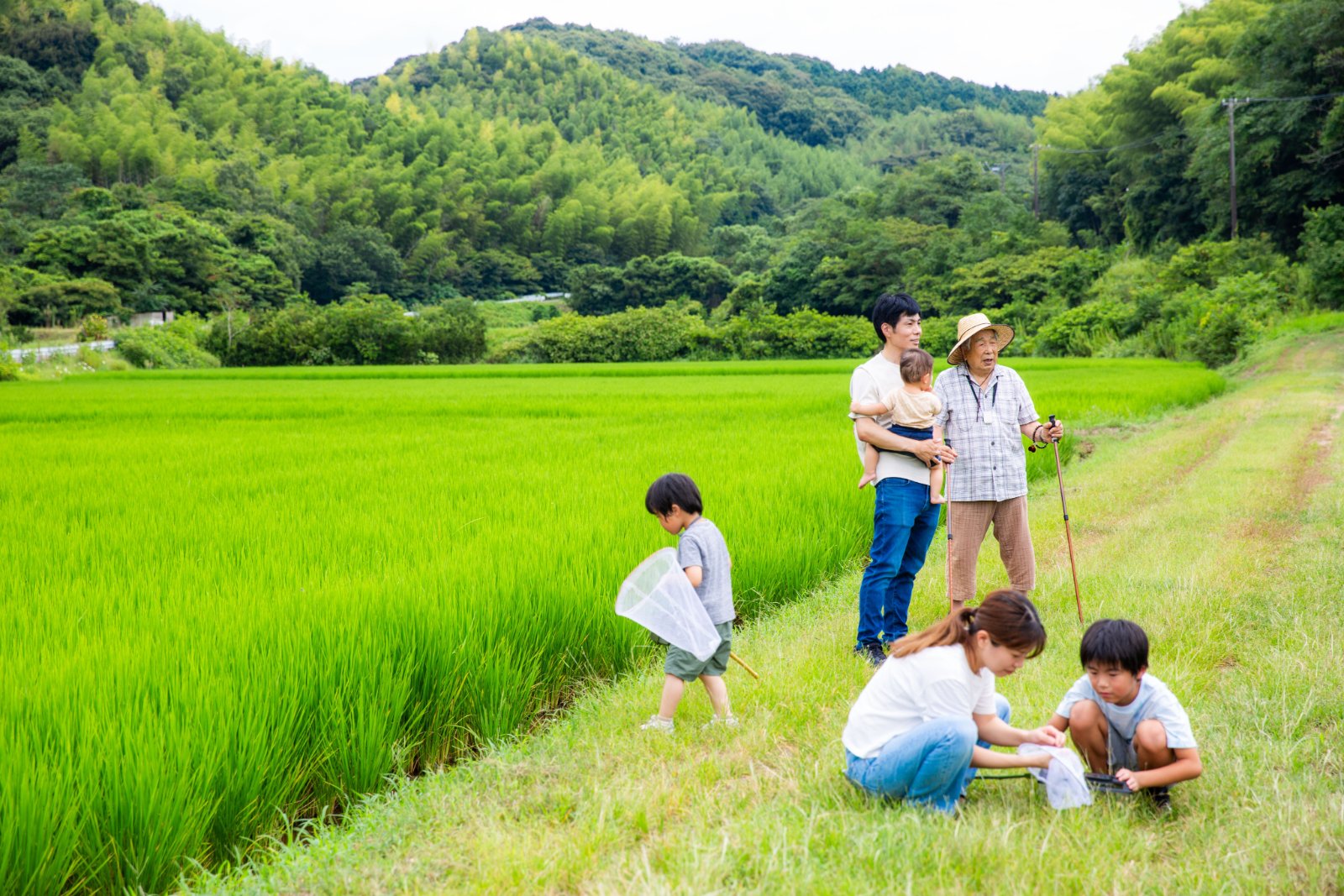 田んぼのそばで過ごす家族