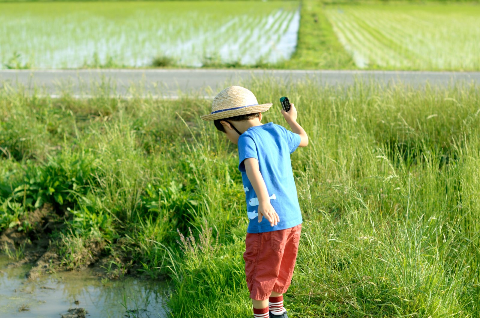 春の田植え体験